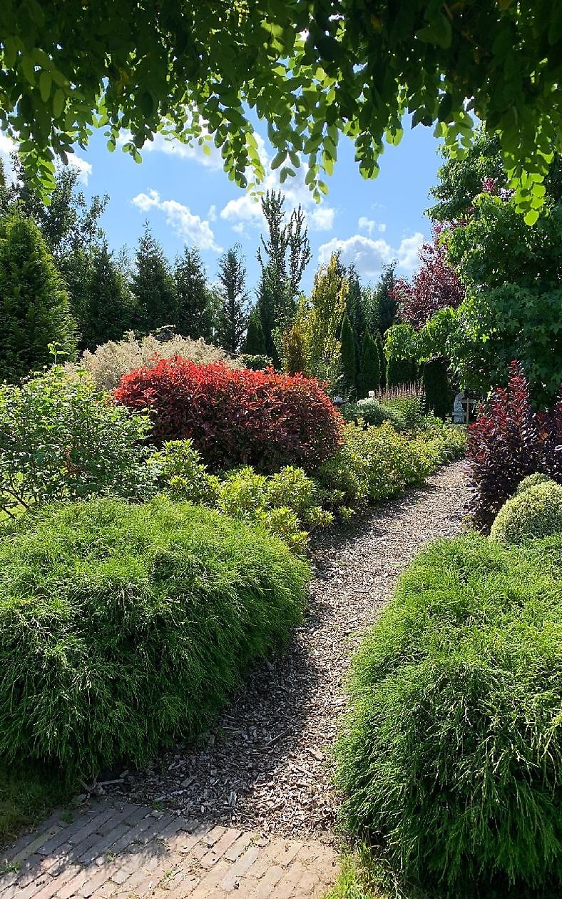 De Vier Handen  (Die vier Hände) - Het Tuinpad Op / In Nachbars Garten