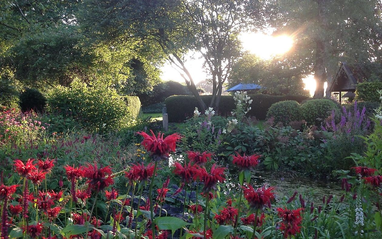 Garten Chris Bruinsma - Het Tuinpad Op / In Nachbars Garten