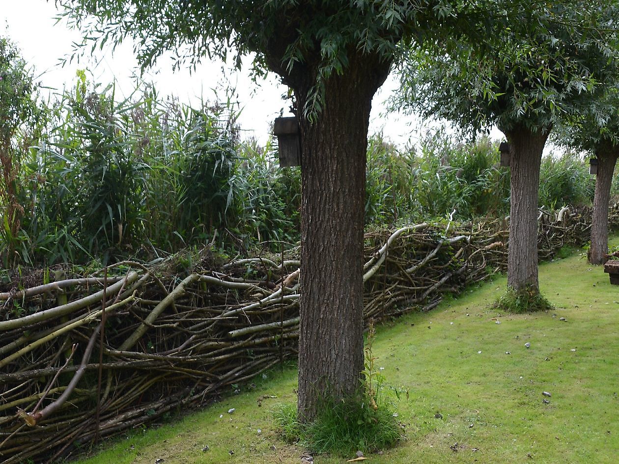 Skulpturengarten Ruigstaal - Het Tuinpad Op / In Nachbars Garten