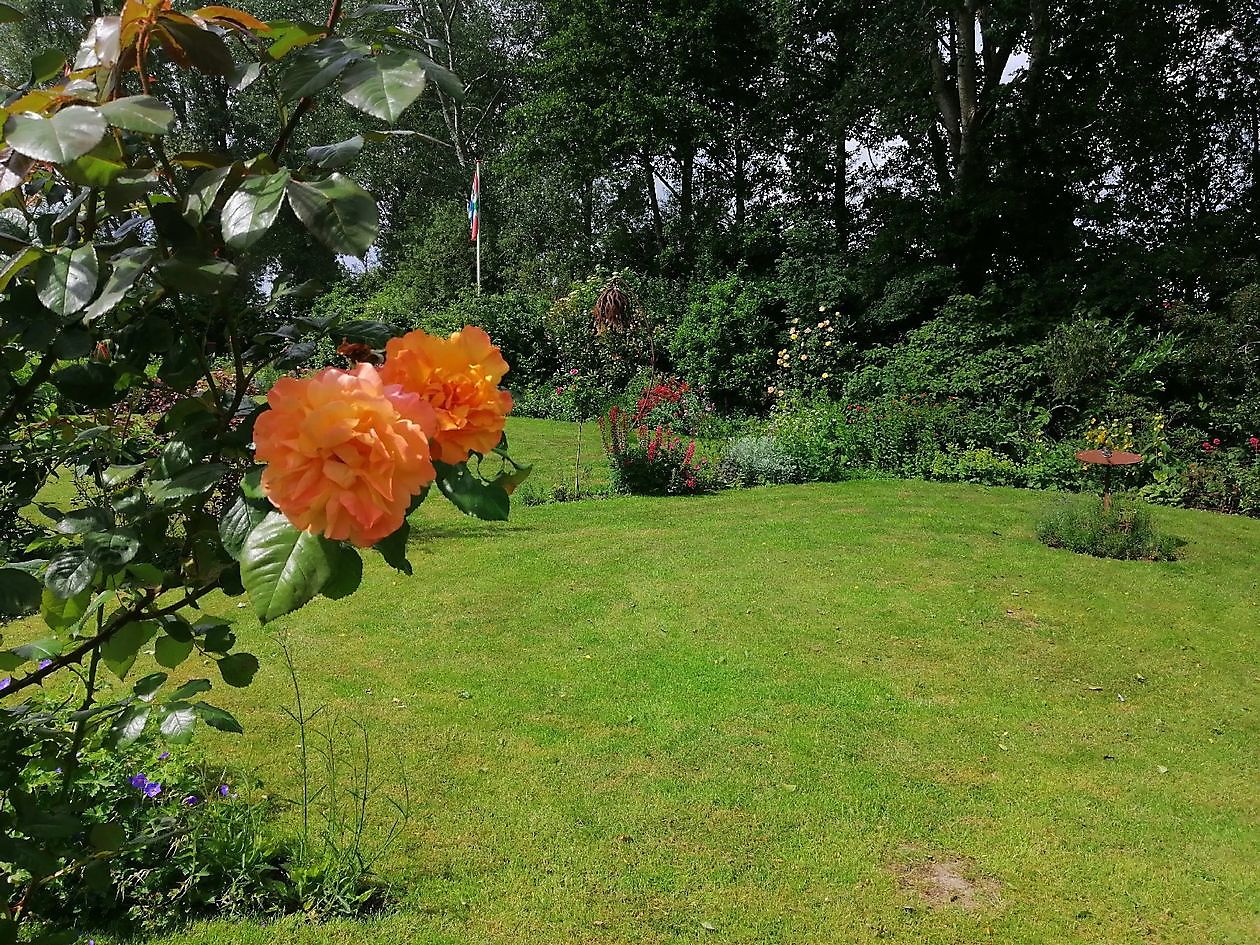 Skulpturengarten Ruigstaal - Het Tuinpad Op / In Nachbars Garten