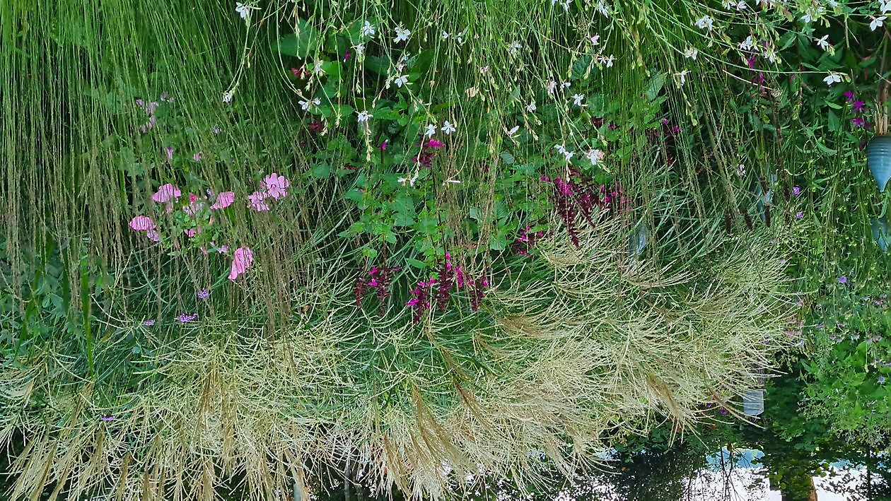 Heerloo in de Landouwen - Het Tuinpad Op / In Nachbars Garten