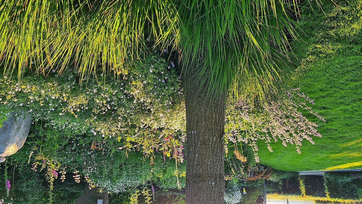 Heerloo in de Landouwen - Het Tuinpad Op / In Nachbars Garten