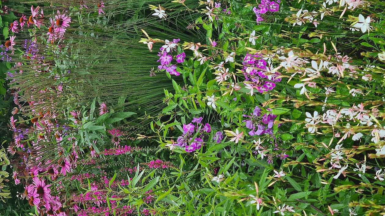 Heerloo in de Landouwen - Het Tuinpad Op / In Nachbars Garten