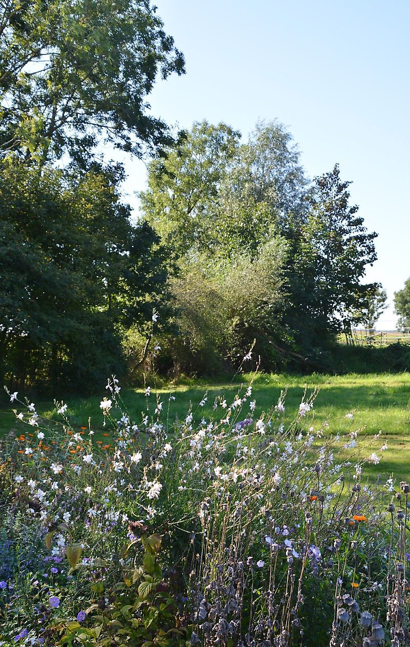 Der Bauernhofgarten - Het Tuinpad Op / In Nachbars Garten