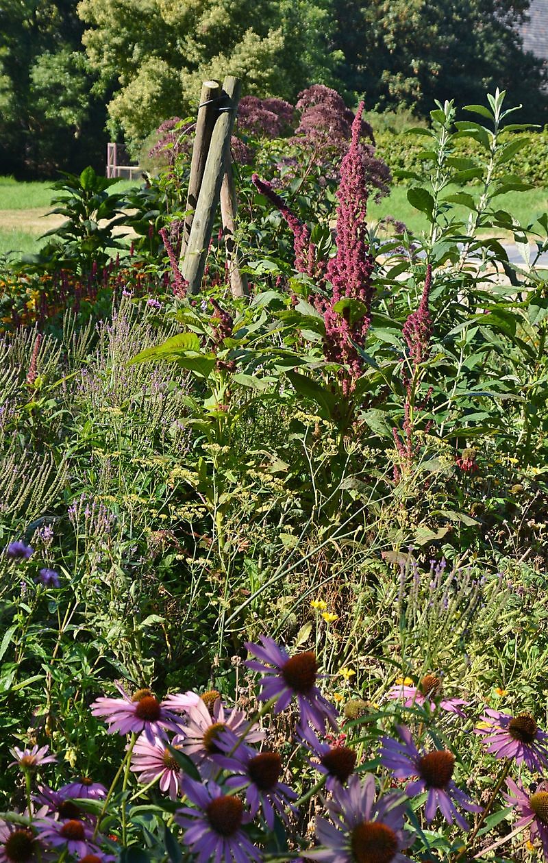 Der Bauernhofgarten - Het Tuinpad Op / In Nachbars Garten