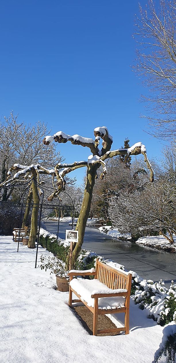 Arboretum Neuenkoop - Het Tuinpad Op / In Nachbars Garten