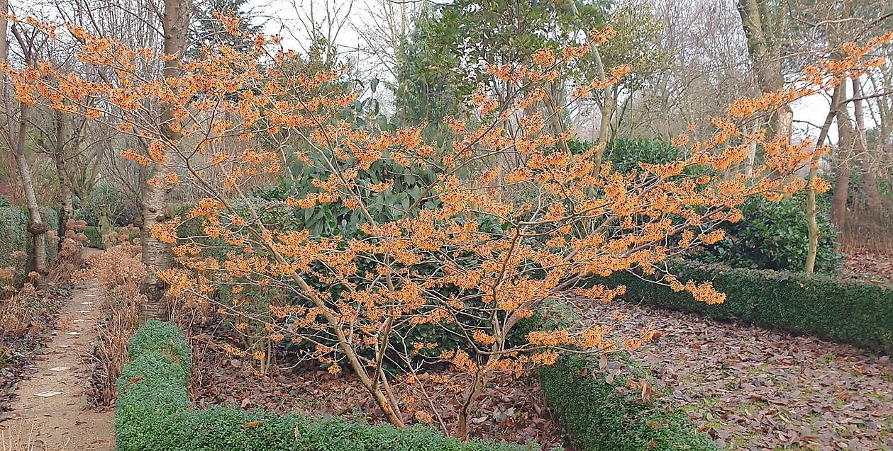 Arboretum Neuenkoop - Het Tuinpad Op / In Nachbars Garten