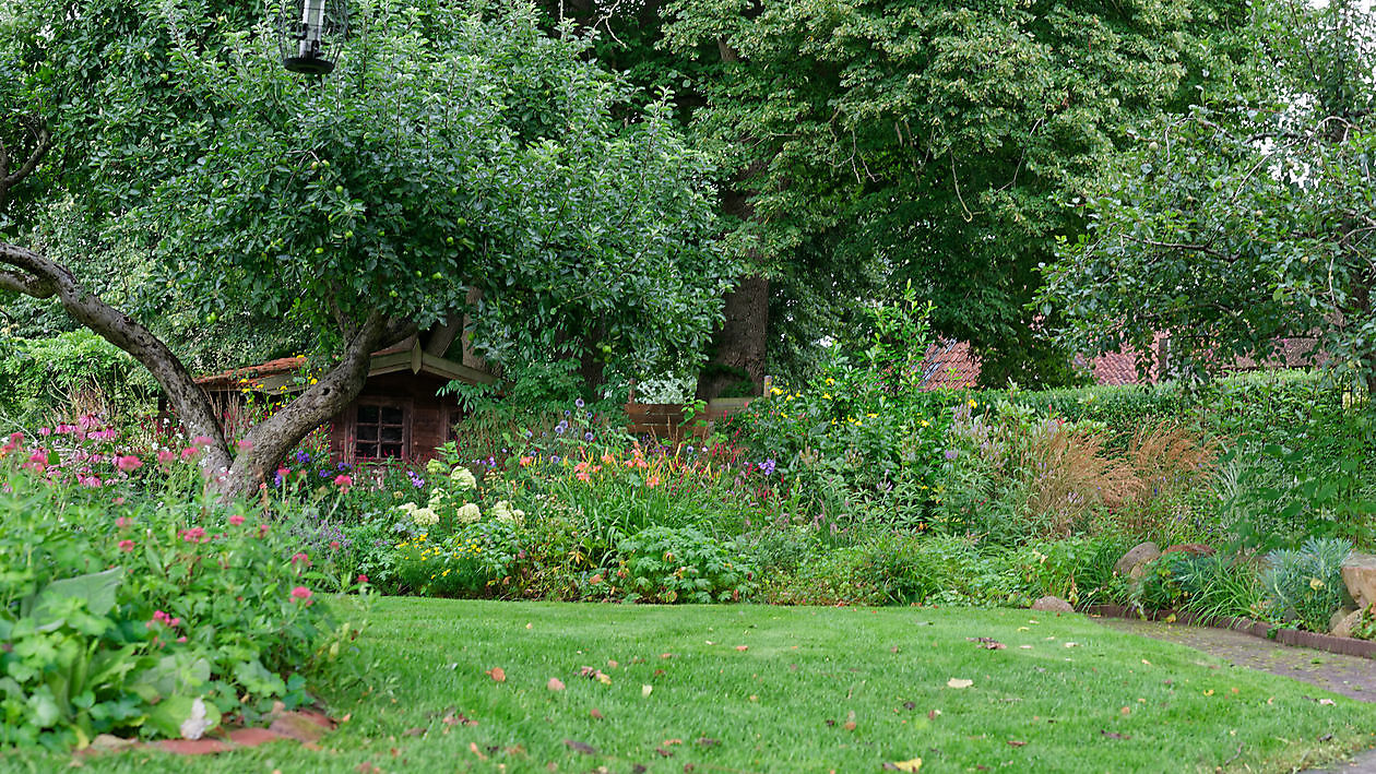 Blumengarten - Het Tuinpad Op / In Nachbars Garten