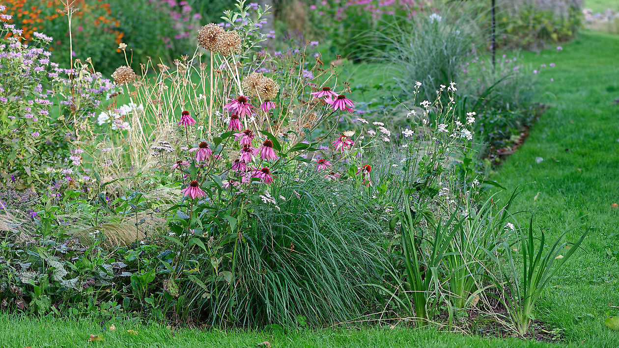 Blumengarten - Het Tuinpad Op / In Nachbars Garten