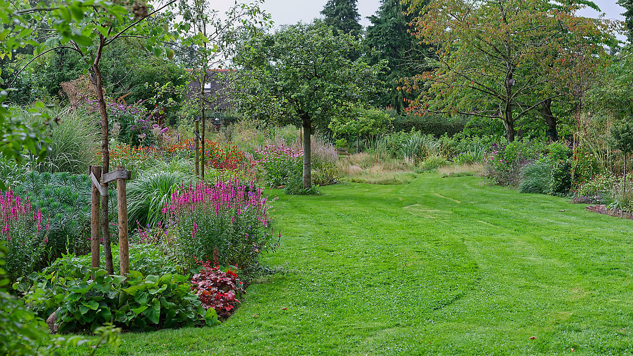 Blumengarten - Het Tuinpad Op / In Nachbars Garten