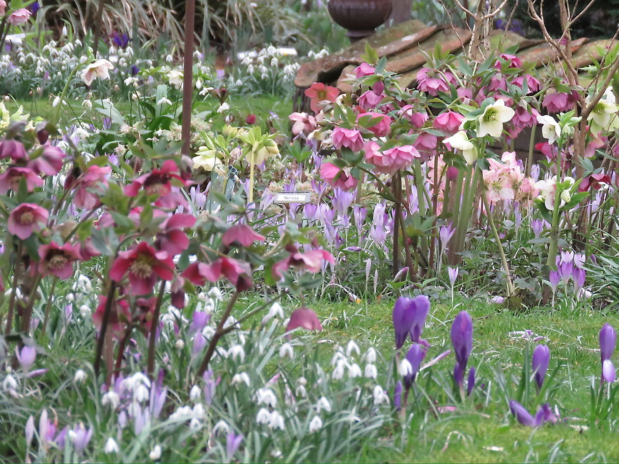 Landidyll Familie Tjarks/Schoon - Het Tuinpad Op / In Nachbars Garten