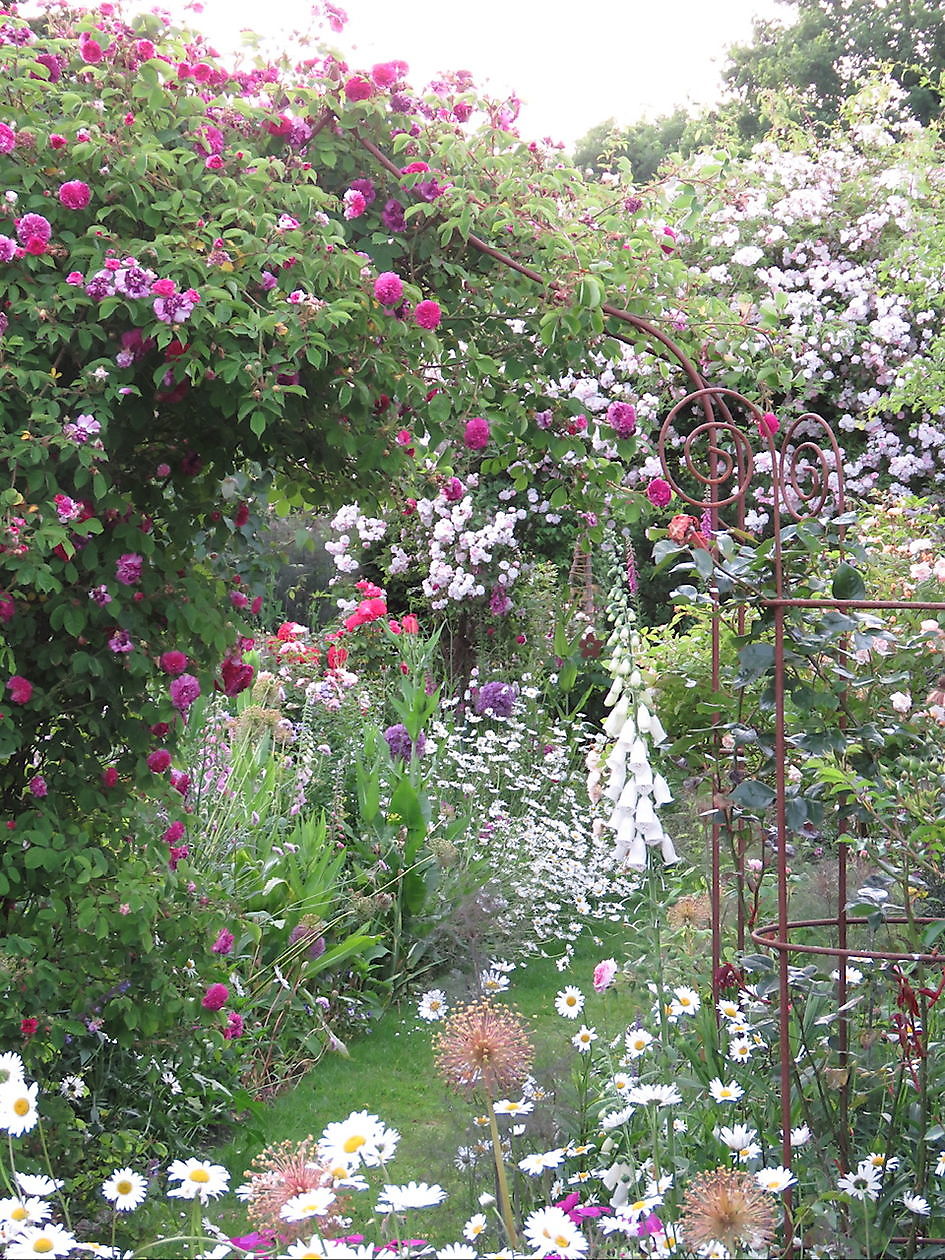 Landidyll Familie Tjarks/Schoon - Het Tuinpad Op / In Nachbars Garten