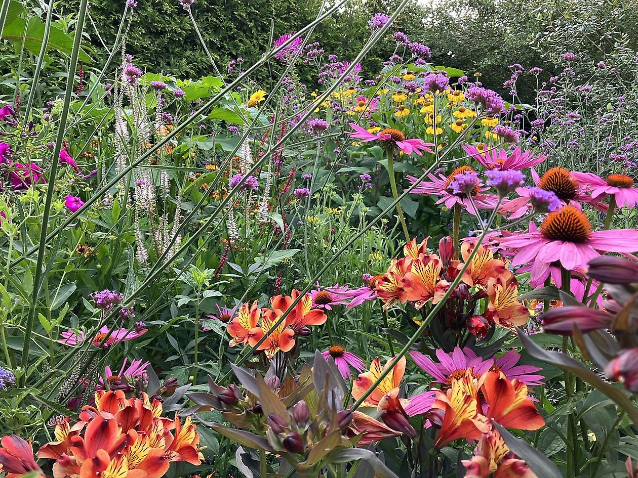 Landidyll Familie Tjarks/Schoon - Het Tuinpad Op / In Nachbars Garten