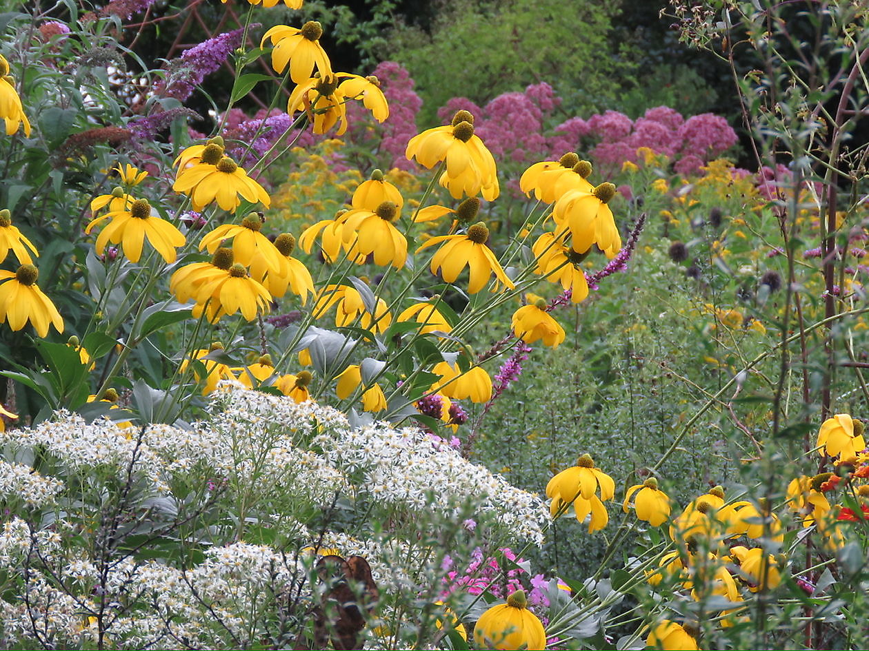 Landidyll Familie Tjarks/Schoon - Het Tuinpad Op / In Nachbars Garten