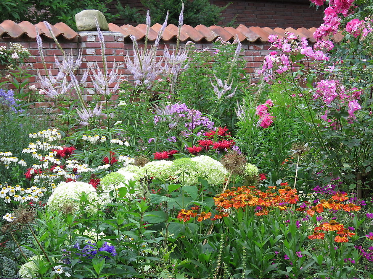 Landidyll Familie Tjarks/Schoon - Het Tuinpad Op / In Nachbars Garten