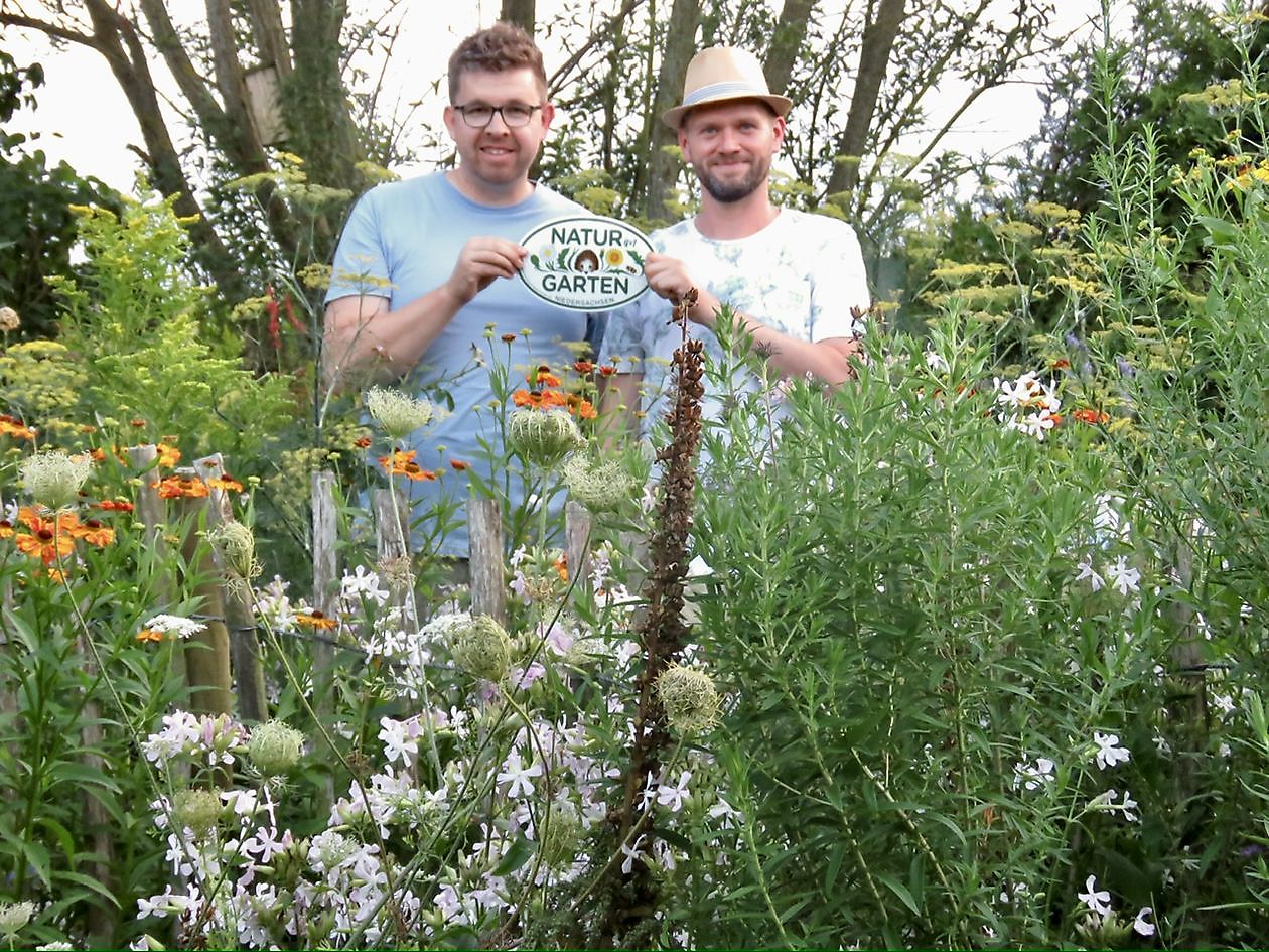 Landidyll Familie Tjarks/Schoon - Het Tuinpad Op / In Nachbars Garten