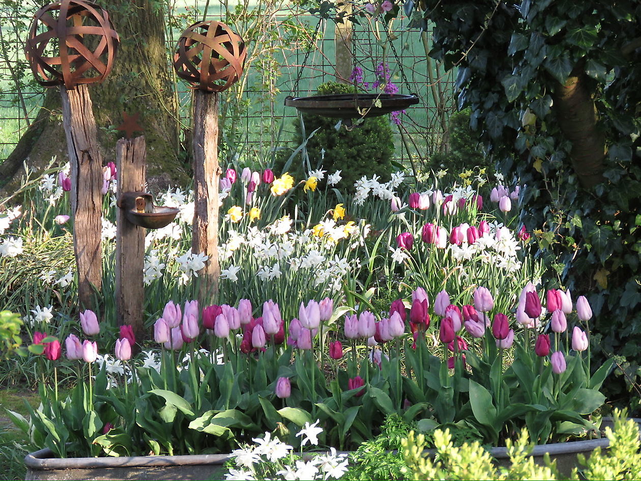 Landidyll Familie Tjarks/Schoon - Het Tuinpad Op / In Nachbars Garten