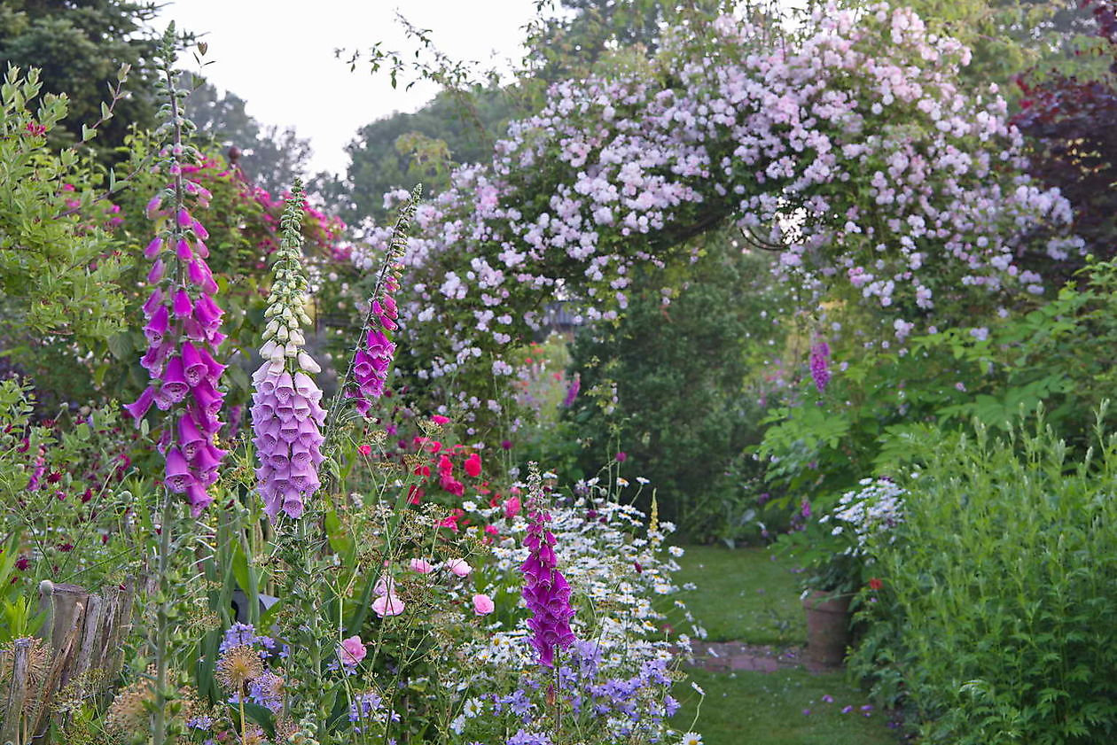 Landidyll Familie Tjarks/Schoon - Het Tuinpad Op / In Nachbars Garten