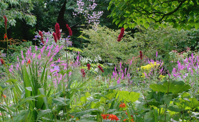 Garten Marie José Tepe - Het Tuinpad Op / In Nachbars Garten