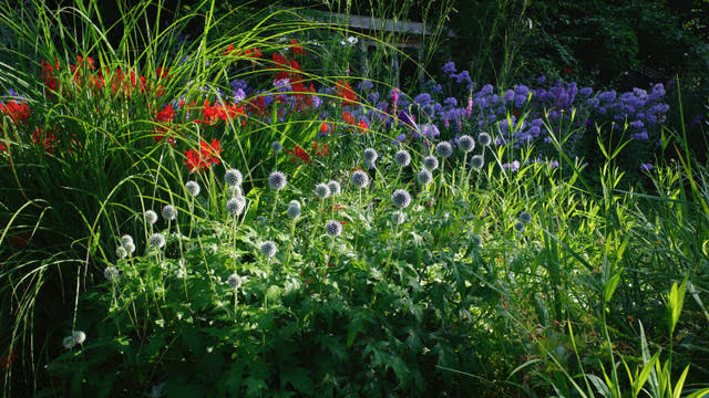 Garten Marie José Tepe - Het Tuinpad Op / In Nachbars Garten