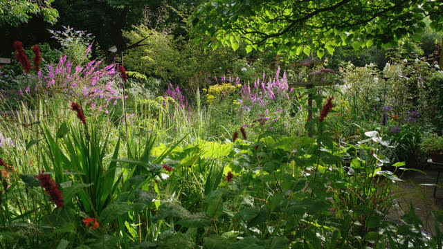 Garten Marie José Tepe - Het Tuinpad Op / In Nachbars Garten