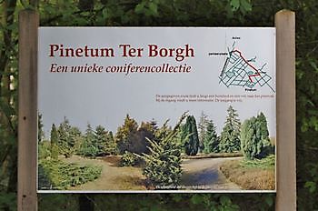 Pinetum Ter Borgh - Het Tuinpad Op / In Nachbars Garten