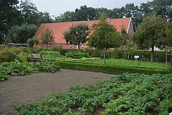 Bauerngarten des Heimatvereins Oberlangen - Het Tuinpad Op / In Nachbars Garten