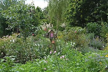 Heidi Dreyer - Het Tuinpad Op / In Nachbars Garten