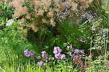 Aan de Dijk - Het Tuinpad Op / In Nachbars Garten