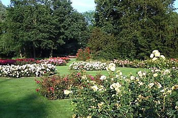 Rosarium - Het Tuinpad Op / In Nachbars Garten