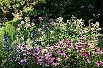 Lieselotte Cramer - Het Tuinpad Op / In Nachbars Garten