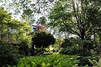 Anke zu Jeddeloh - Het Tuinpad Op / In Nachbars Garten