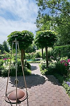 Wassergarten - Het Tuinpad Op / In Nachbars Garten