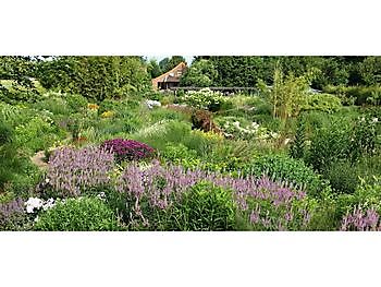 Gärtnerei Jacobs - Het Tuinpad Op / In Nachbars Garten