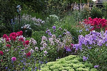 Tuin Stolle - Het Tuinpad Op / In Nachbars Garten