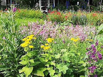 Gartentraum in Altjührden - Het Tuinpad Op / In Nachbars Garten