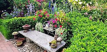 Immengarten Grape - Het Tuinpad Op / In Nachbars Garten