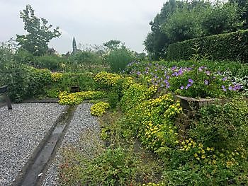 Der Pfauengarten in Adorp - Het Tuinpad Op / In Nachbars Garten