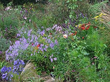 Klein Flora Westerwolde - Het Tuinpad Op / In Nachbars Garten