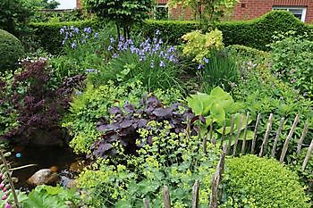 Tuin Beim Holze - Het Tuinpad Op / In Nachbars Garten