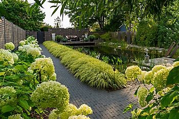 Friesischer Patiogarten - Het Tuinpad Op / In Nachbars Garten