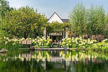 Friese Patiotuin - Het Tuinpad Op / In Nachbars Garten