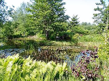 Het Luitzenpark - Het Tuinpad Op / In Nachbars Garten