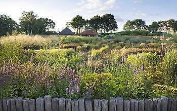 Lianne’s Siergrassen - Het Tuinpad Op / In Nachbars Garten