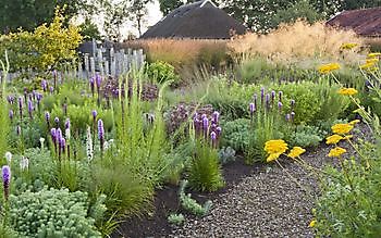 Lianne's Ziergräser - Het Tuinpad Op / In Nachbars Garten