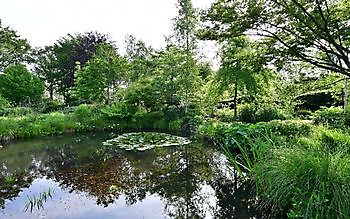 Tuindoenerij ‘t Vlijtig Loesje - Het Tuinpad Op / In Nachbars Garten