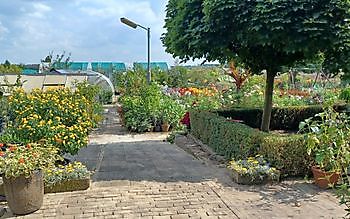 Het Amsterdamscheveld - Het Tuinpad Op / In Nachbars Garten