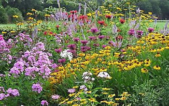 Bloemakkershof - Het Tuinpad Op / In Nachbars Garten