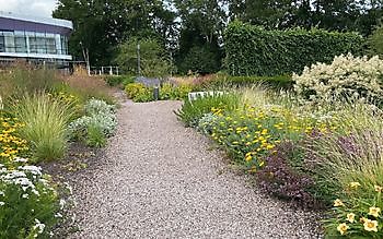 Stads/daktuin Kempkensberg - Het Tuinpad Op / In Nachbars Garten