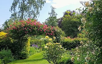 Der Garten von Anneke van Apeldoorn - Het Tuinpad Op / In Nachbars Garten